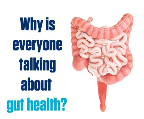 Why Is Everyone Talking About Gut Health?