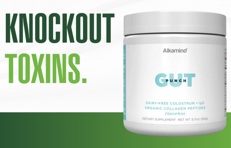 GUT PUNCH. Knockout toxins & win your health