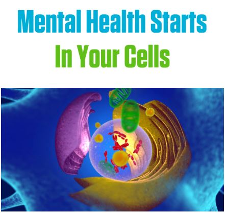 Mental Health Starts In Your Cells