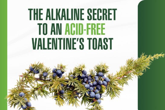 Juniper & Joy: The Alkaline Secret to an Acid-Free Valentine’s Toast